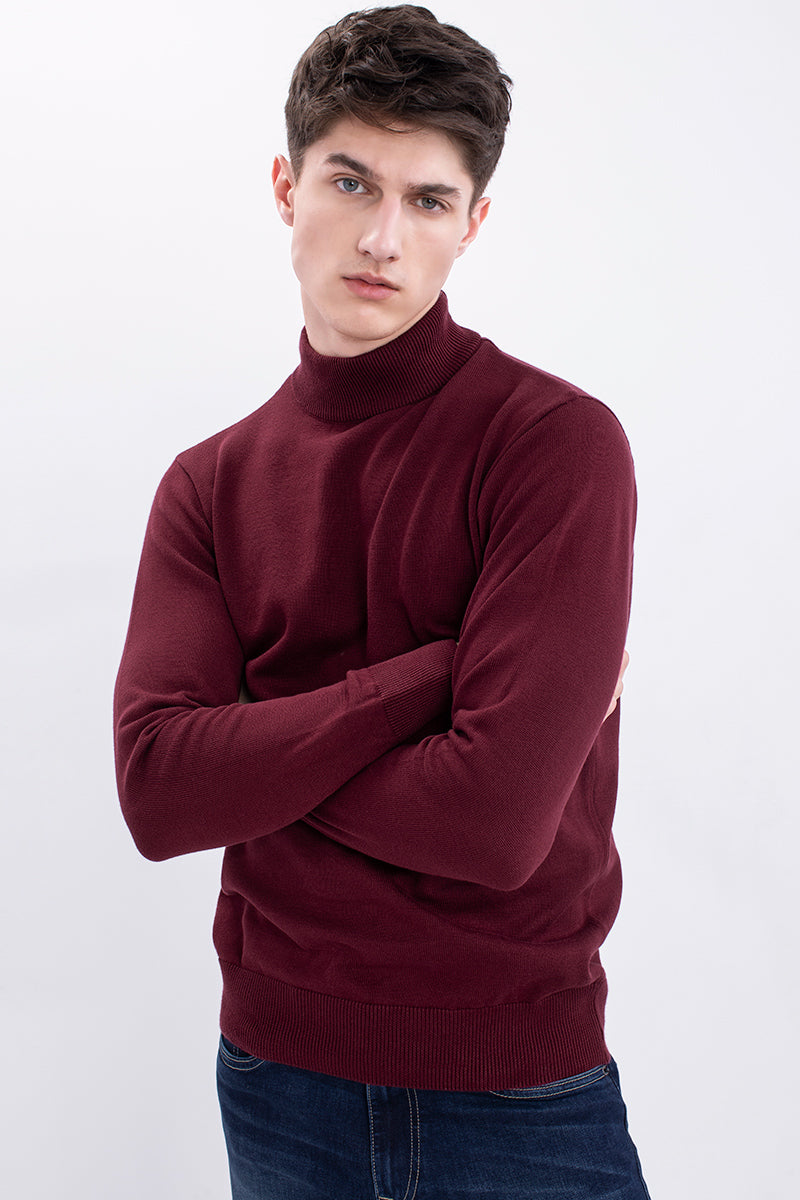 Maroon Solid Rib Knit Turtle Neck Sweater